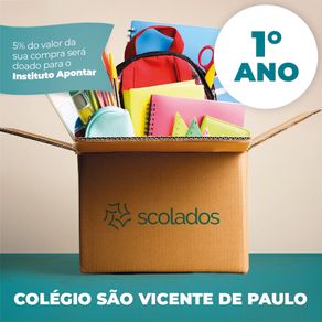 colegio-sao-vicente4