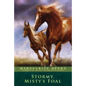 Stormy, Misty's Foal (Reprint) - Aladdin Paperbacks Stormy, Misty's Foal (Reprint) - Aladdin Paperbacks