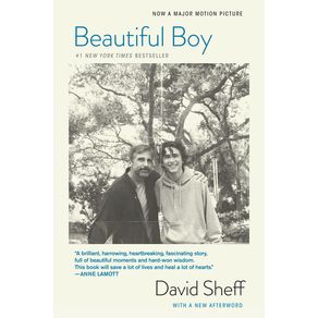 Beautiful Boy (Tie-In): A Father's Journey Through His Son's Addiction - Mariner Books Beautiful Boy (Tie-In): A Father's Journey Through His Son's Addiction - Mariner Books