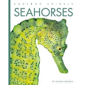 Seahorses - Creative Paperbacks