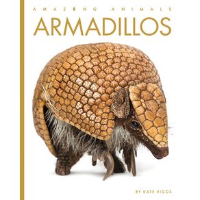 Armadillos - Creative Paperbacks